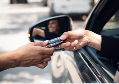 Professional consultancy services